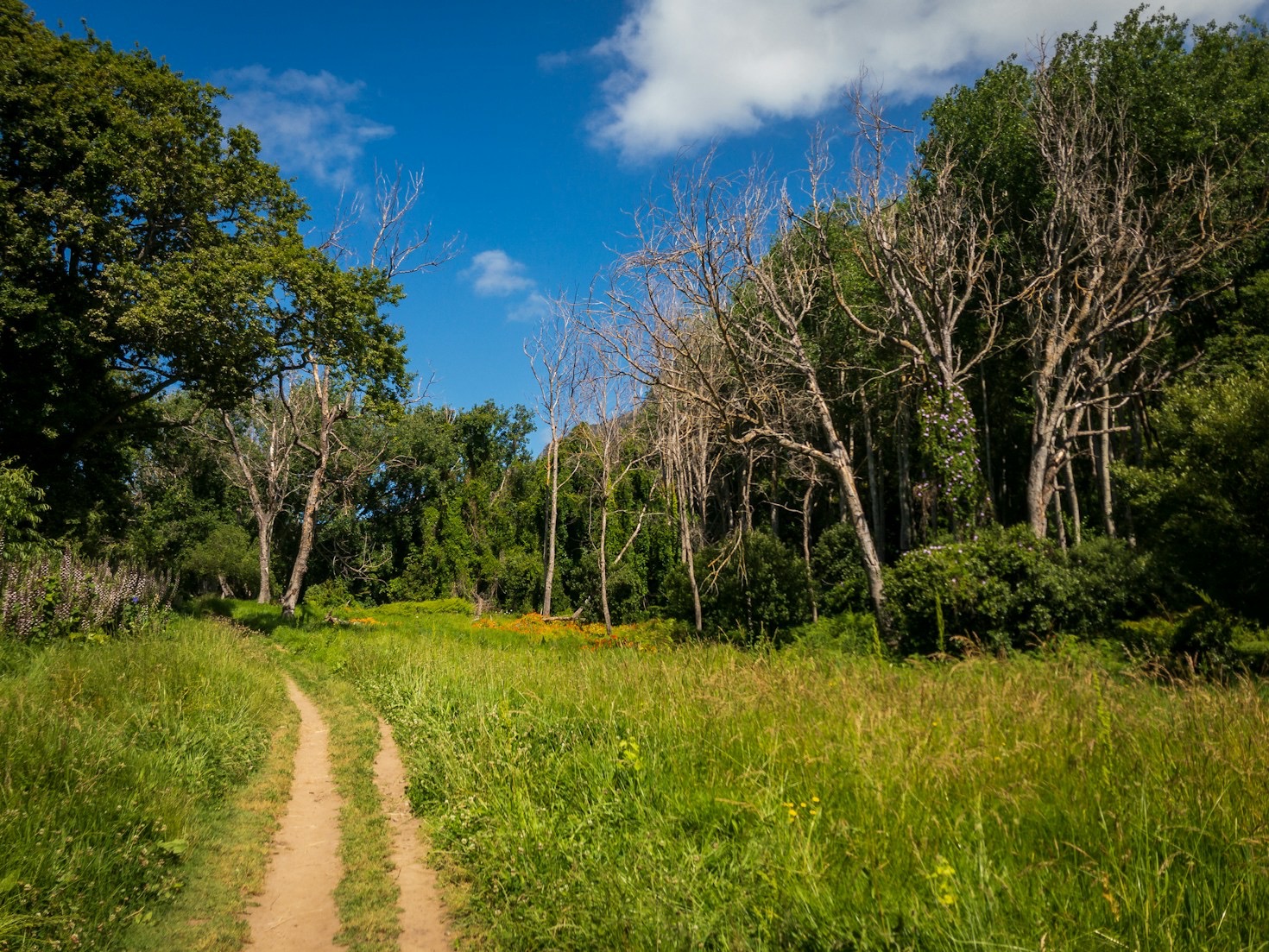 Top 10 Historic Walks in England