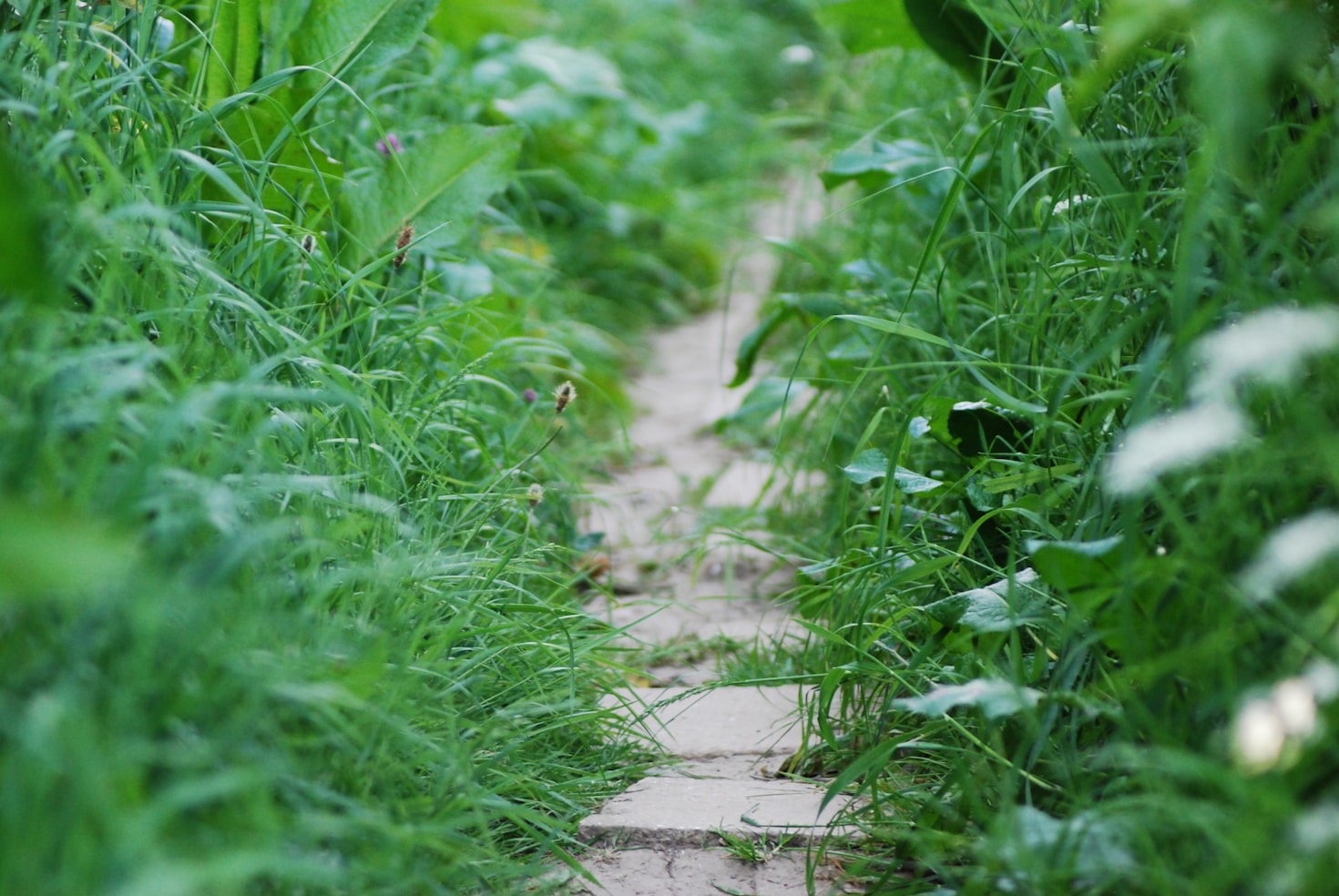 How Walking Can Bring History Alive