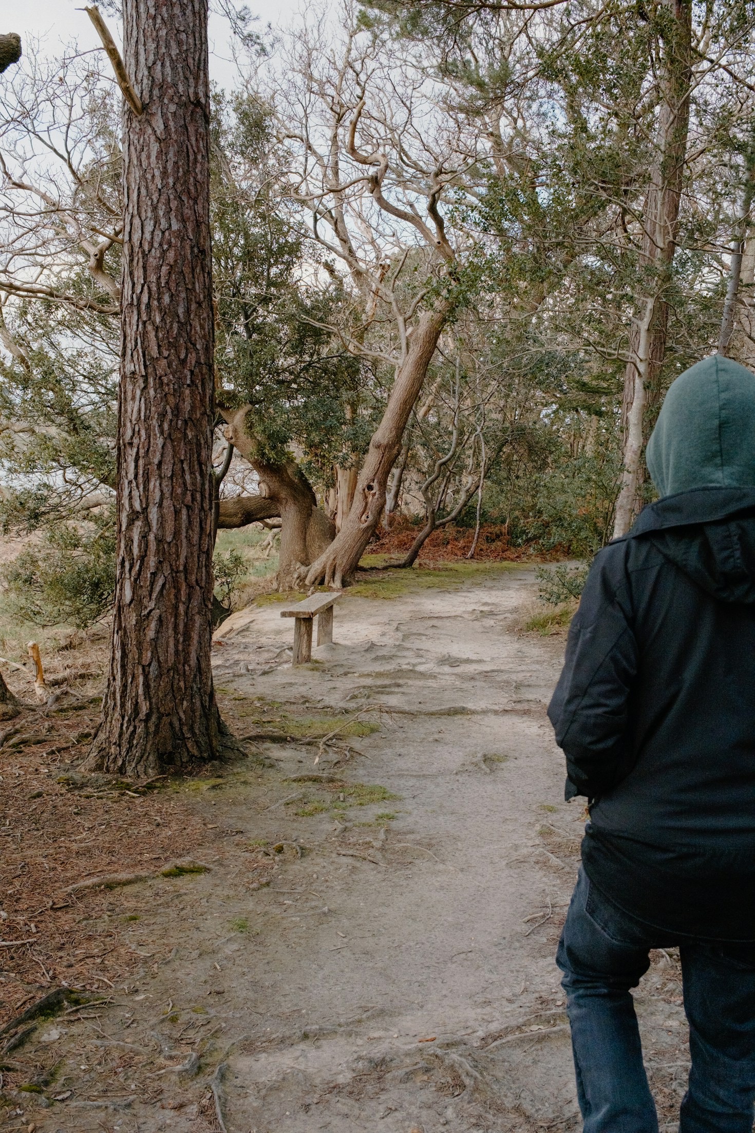 National Trust Trails You Shouldn’t Miss