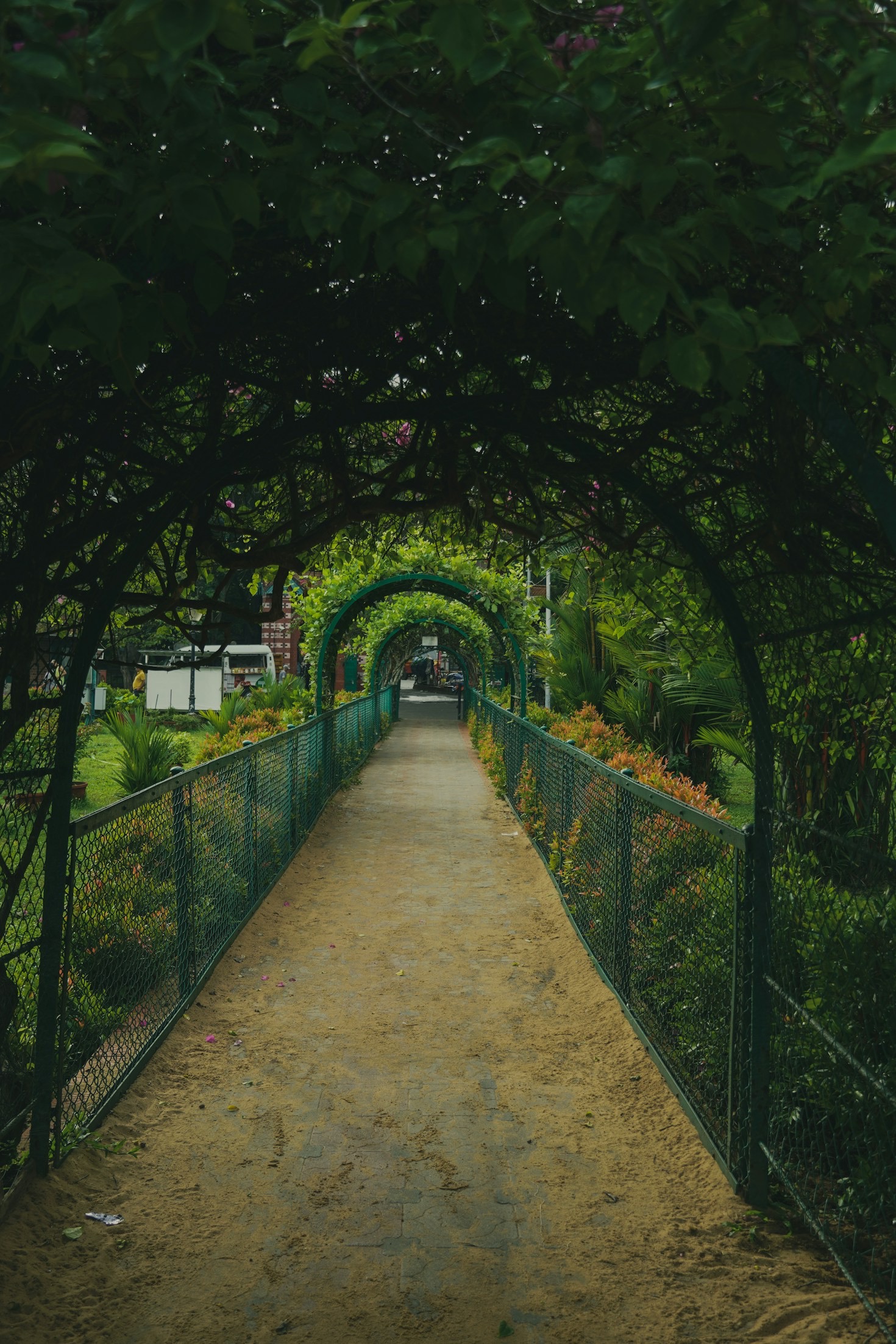 Walking Adventures for History Enthusiasts